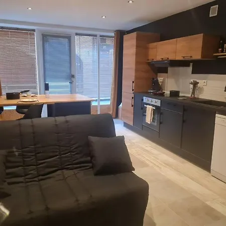 L'Escale Charliendine Appartement Charlieu Buitenkant foto